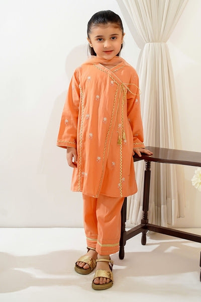 Cotton Embroidered 3 Pc Suit