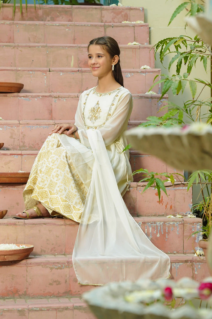 Chiffon Hand Adda Work 3 Pc Suit - Wear Ochre