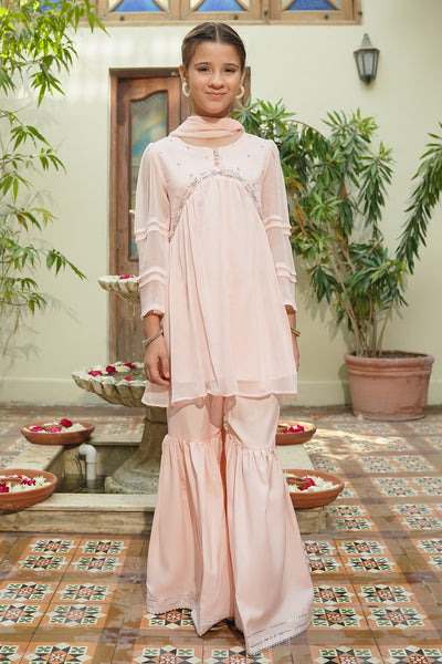Chiffon Hand Adda Work 3 Pc Suit
