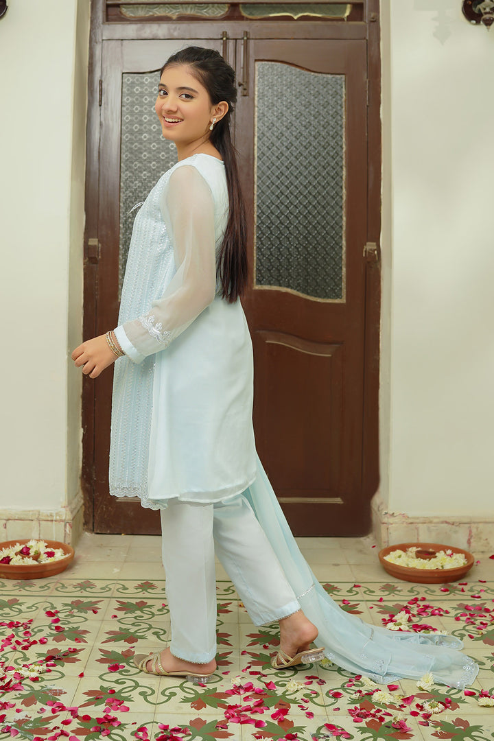 Chiffon Embroidered 3 Pc Suit - Wear Ochre