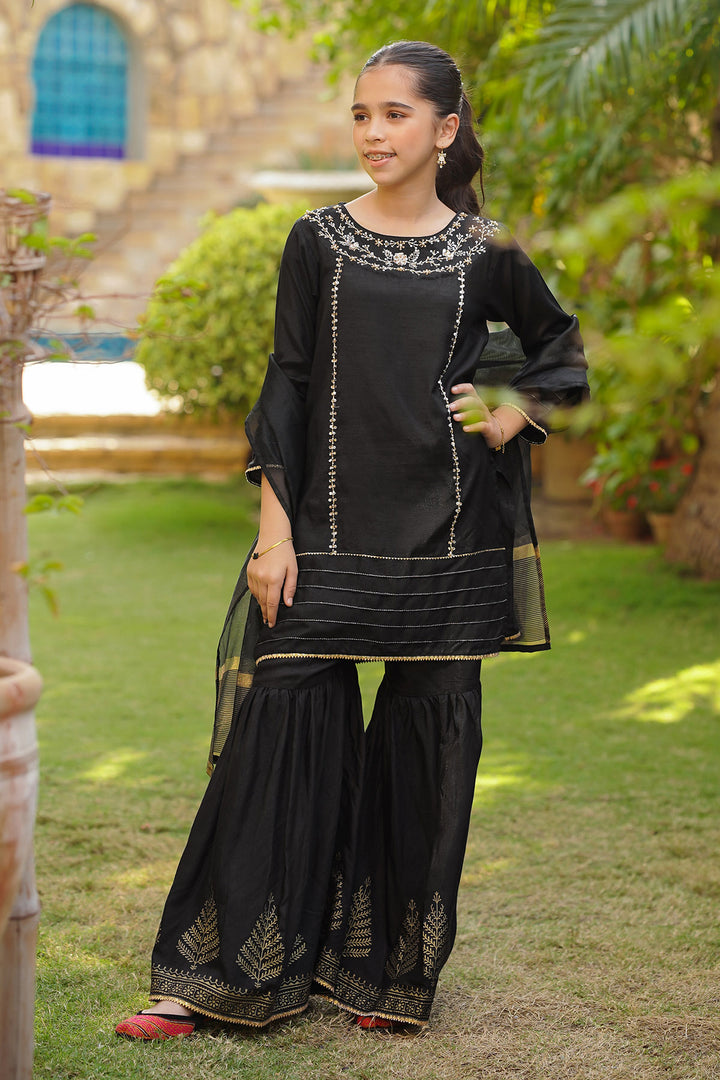 Chiffon Hand Adda Work 3 Pc Suit - Wear Ochre