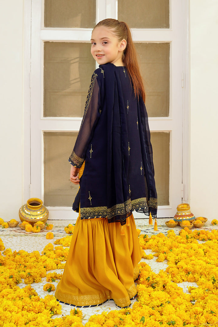 Chiffon Hand Adda Work 3 Pc Suit - Wear Ochre