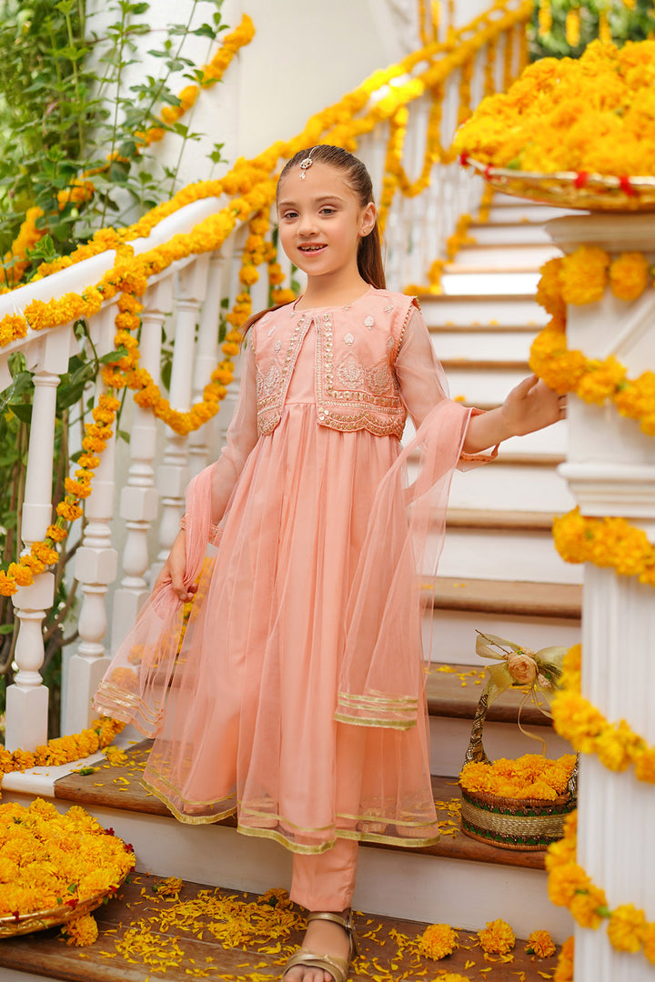 Net Embroidered 3 Pc Suit - Wear Ochre