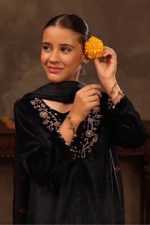 Velvet Hand Adda Work 3 Pc Suit