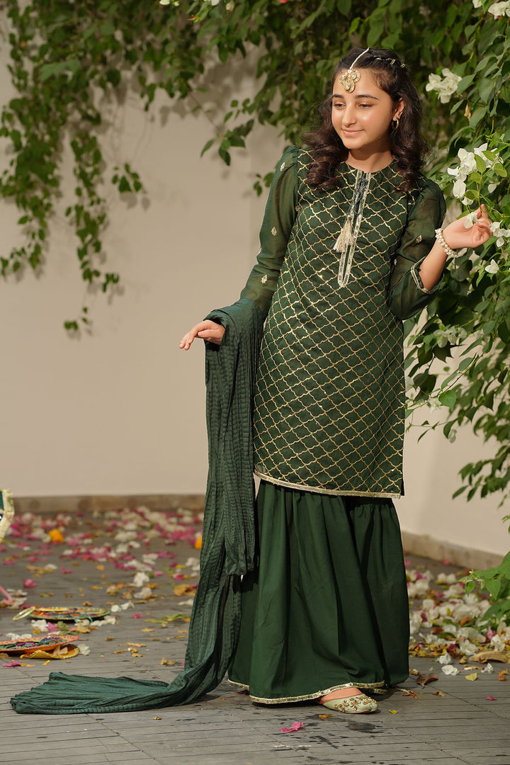 Slub Manar Embroidered 3 Pc Suit - Wear Ochre