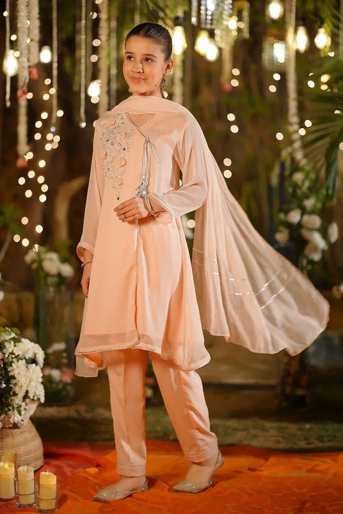 Best Chiffon Hand Adda Work 3 Pc Suit - Wear Ochre -