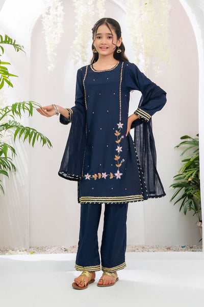 Chiffon Hand Adda Work 3 Pc Suit
