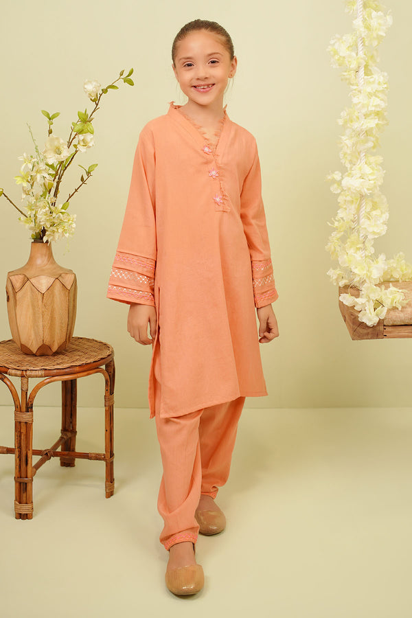 Cotton Embroidered 2 Pc Suit