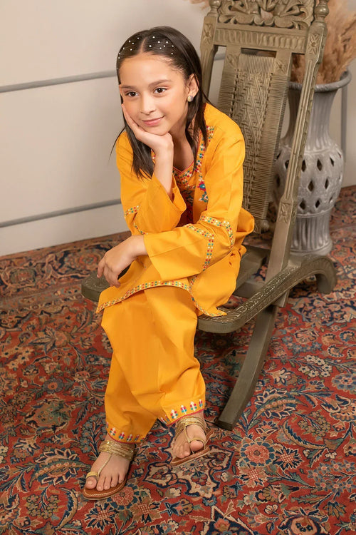Best Cotton Embroidered 2 Pc Suit - Wear Ochre -