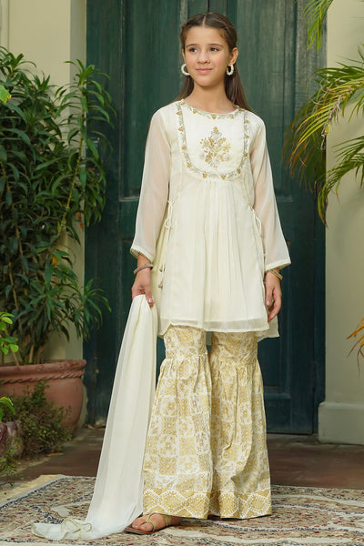 Chiffon Hand Adda Work 3 Pc Suit