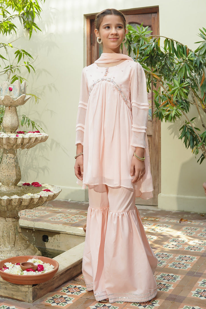 Chiffon Hand Adda Work 3 Pc Suit - Wear Ochre