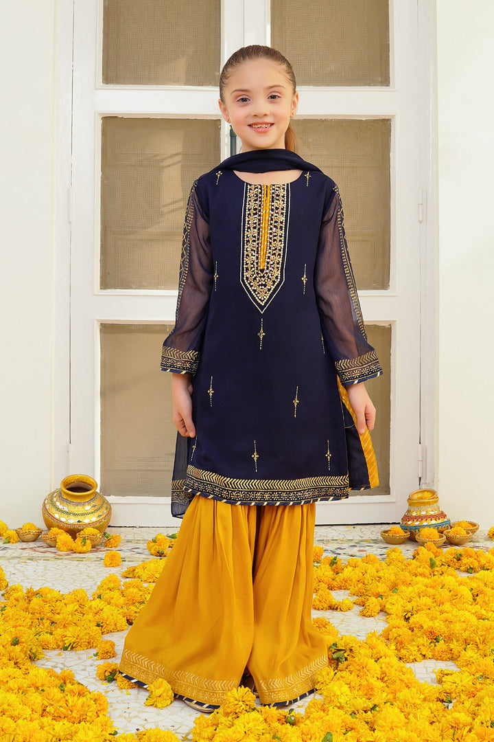 Chiffon Hand Adda Work 3 Pc Suit - Wear Ochre