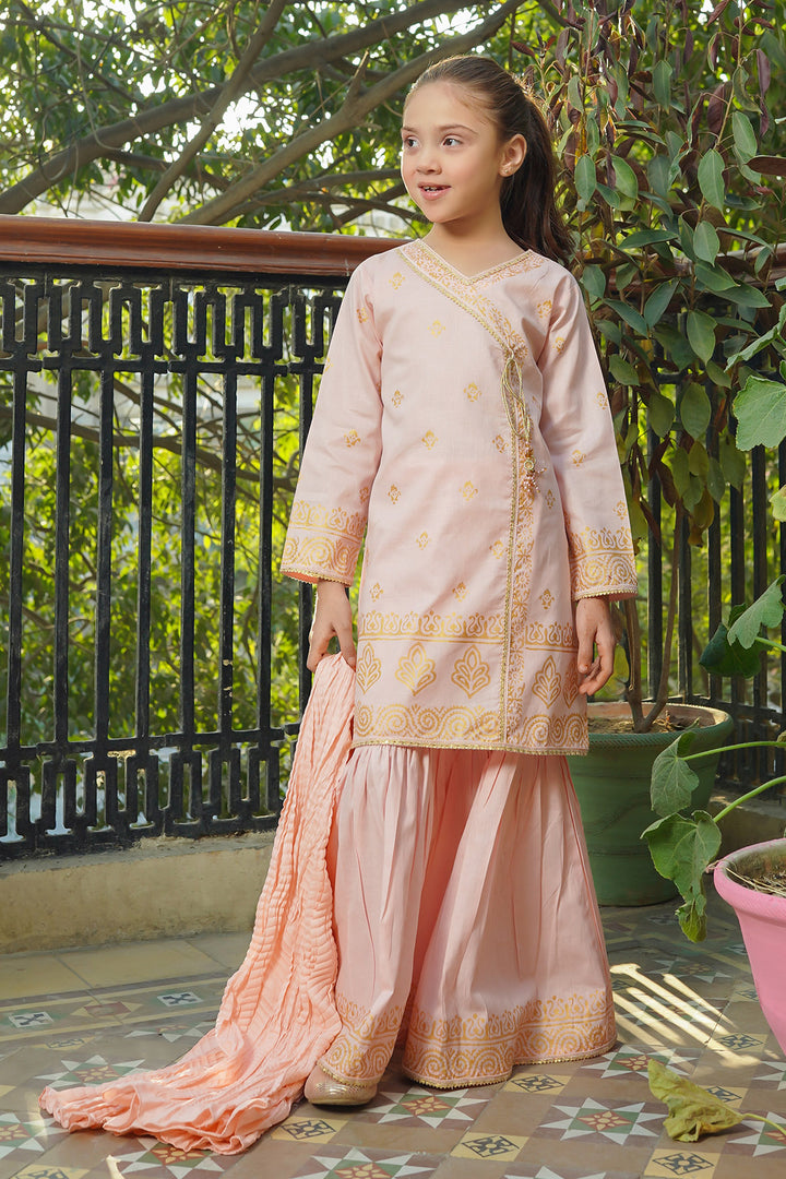 Cotton Printed 3 Pc Suit - Wear Ochre