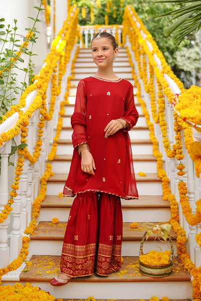 Chiffon Hand Adda Work 3 Pc Suit
