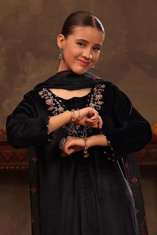 Velvet Hand Adda Work 3 Pc Suit