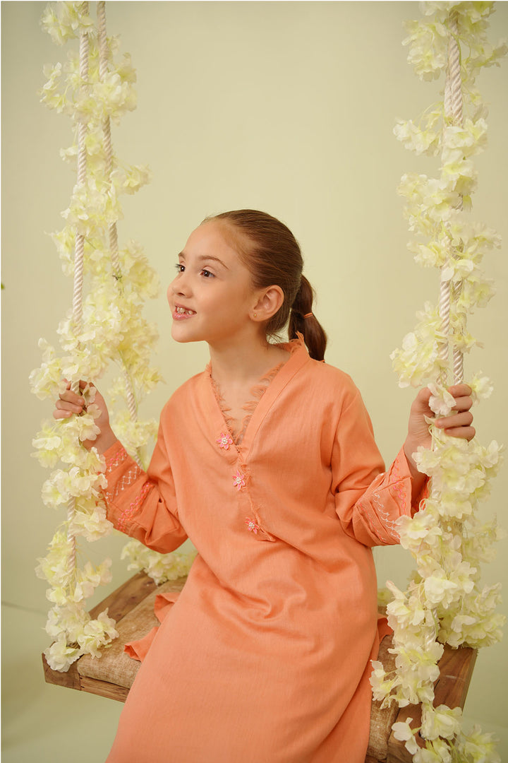 Cotton Embroidered 2 Pc Suit - Wear Ochre