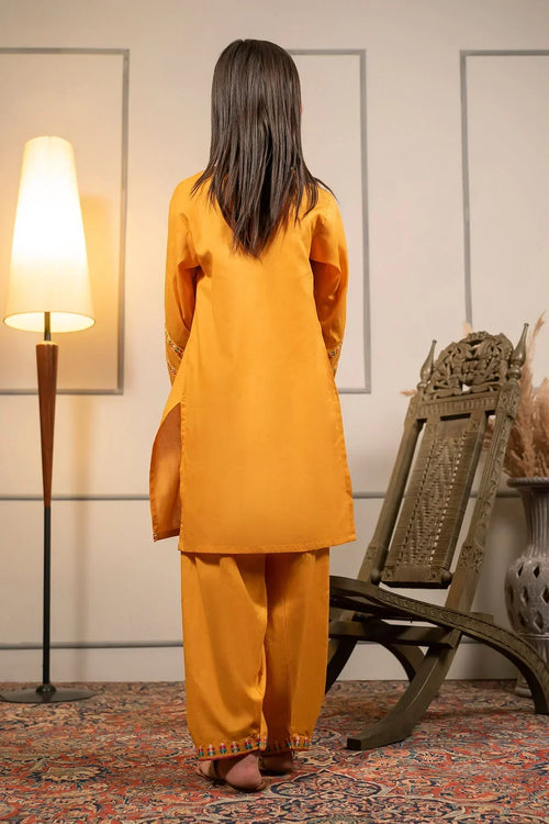 Best Cotton Embroidered 2 Pc Suit - Wear Ochre -