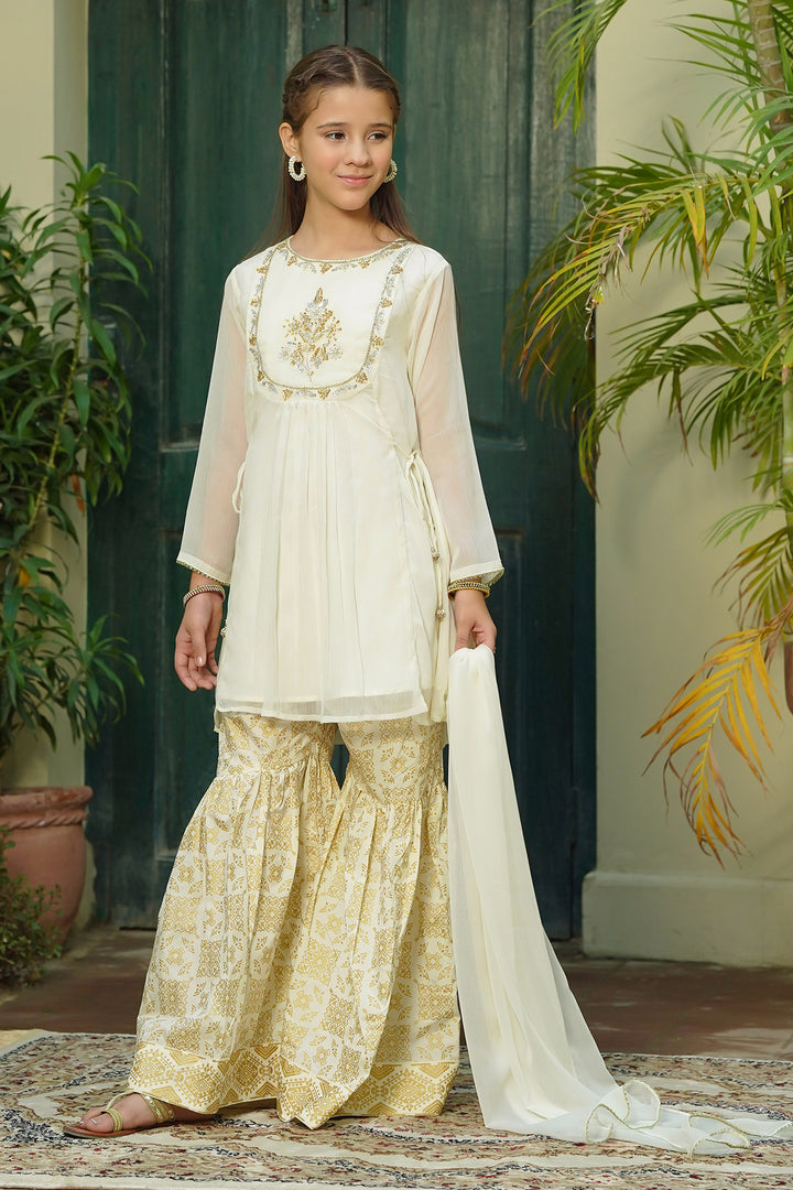 Chiffon Hand Adda Work 3 Pc Suit - Wear Ochre