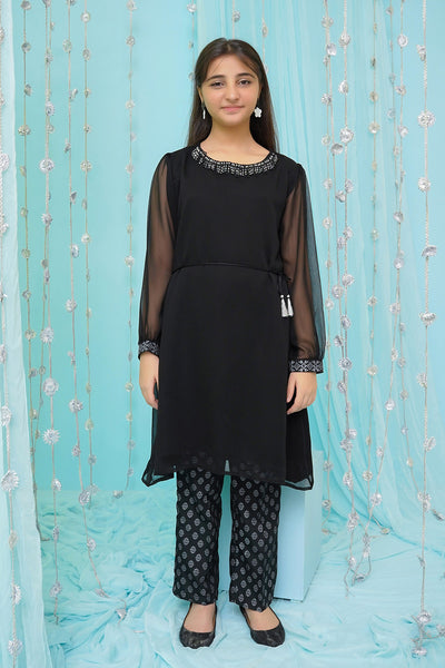 Chiffon Hand Adda Work 2 Pc Suit