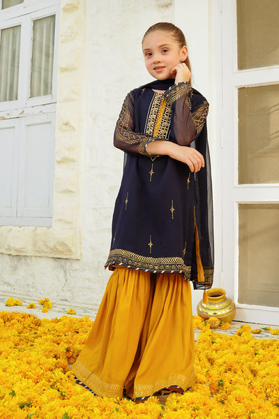 Chiffon Hand Adda Work 3 Pc Suit