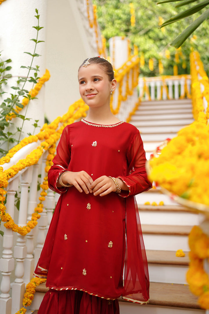 Chiffon Hand Adda Work 3 Pc Suit - Wear Ochre