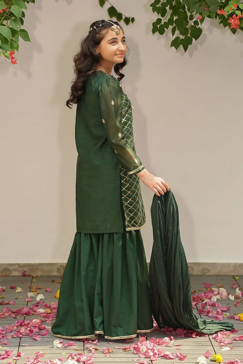 Best Slub Manar Embroidered 3 Pc Suit - Wear Ochre -