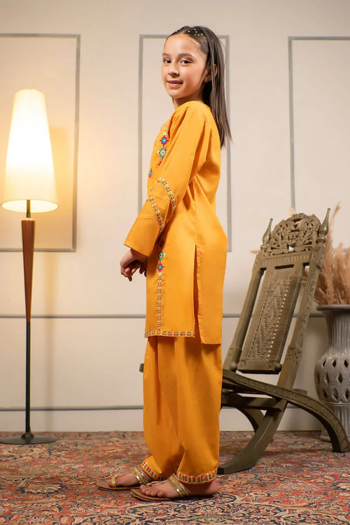 Best Cotton Embroidered 2 Pc Suit - Wear Ochre -