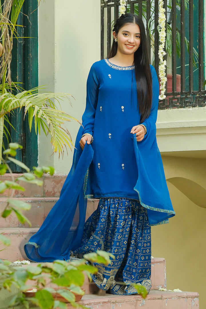Chiffon Hand Adda Work 3 Pc Suit - Wear Ochre