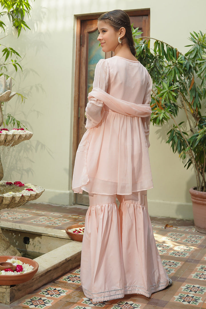Chiffon Hand Adda Work 3 Pc Suit - Wear Ochre