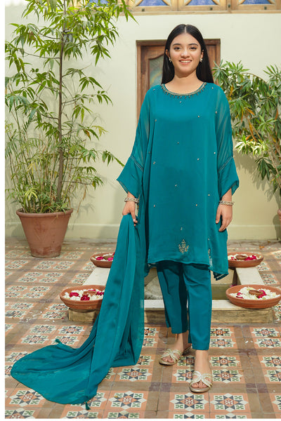 Chiffon Hand Adda Work 3 Pc Suit