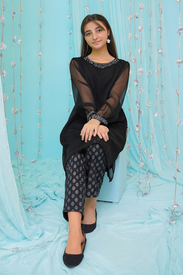 Chiffon Hand Adda Work 2 Pc Suit - Wear Ochre