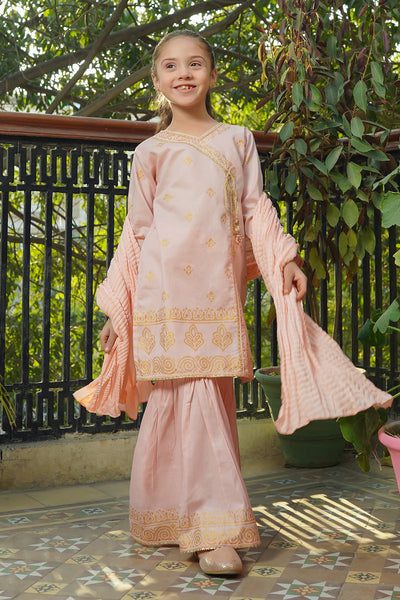 Cotton Printed 3 Pc Suit