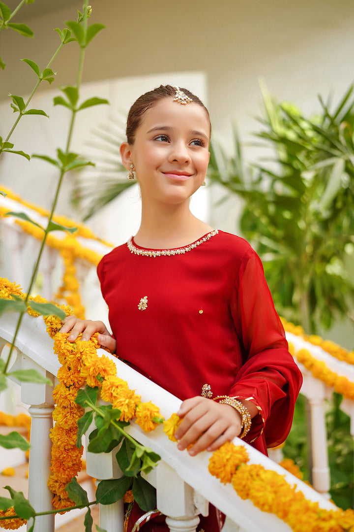 Chiffon Hand Adda Work 3 Pc Suit - Wear Ochre