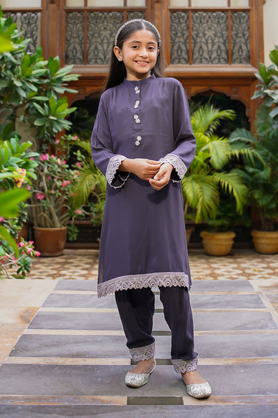 Rod Silk Embellished 2 Pc Suit