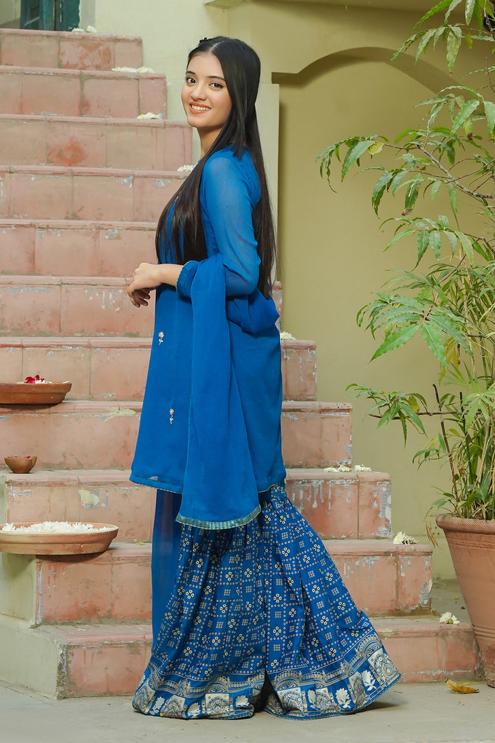 Chiffon Hand Adda Work 3 Pc Suit - Wear Ochre