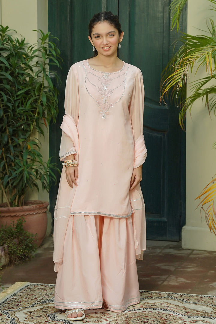 Chiffon Hand Adda Work 3 Pc Suit - Wear Ochre