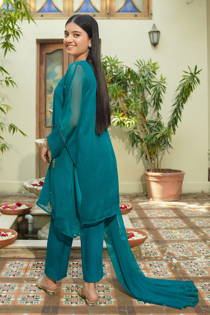 Chiffon Hand Adda Work 3 Pc Suit - Wear Ochre