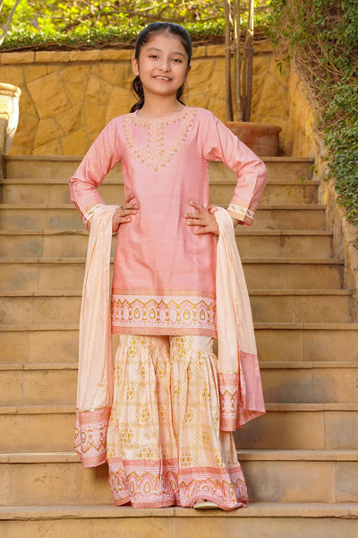 Cotton Silk Hand Adda Work 3 Pc Suit