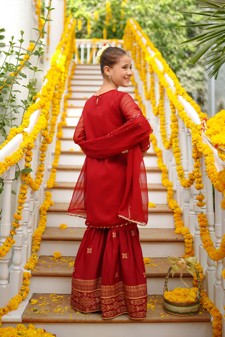 Chiffon Hand Adda Work 3 Pc Suit - Wear Ochre