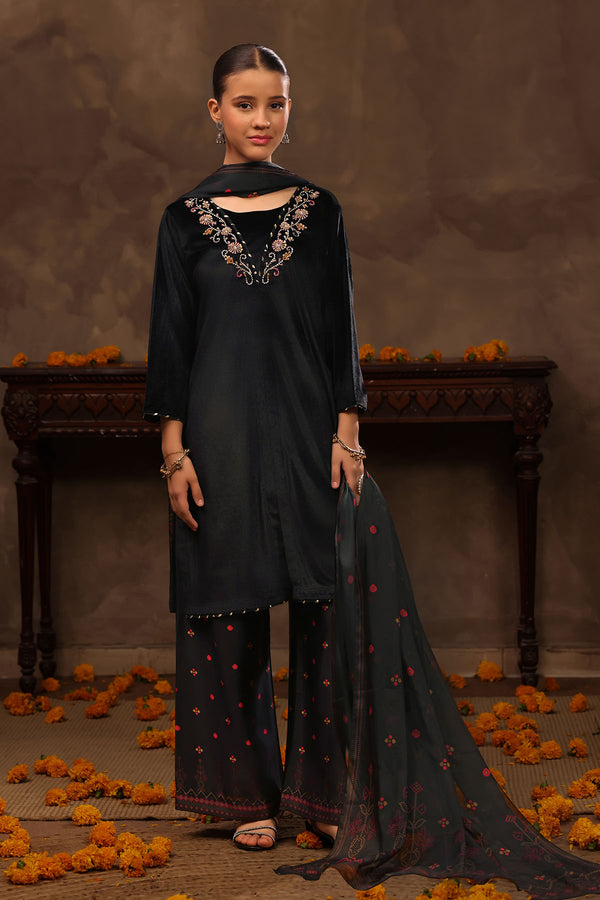 Velvet Hand Adda Work 3 Pc Suit