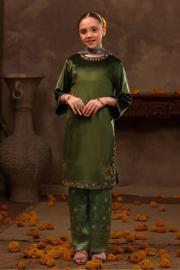 Velvet Hand Adda Work 3 Pc Suit