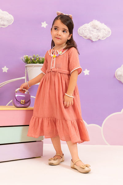 Chambray Cotton Dress