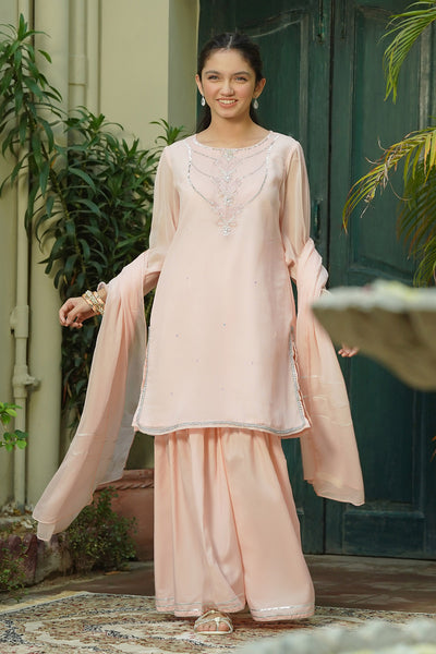 Chiffon Hand Adda Work 3 Pc Suit