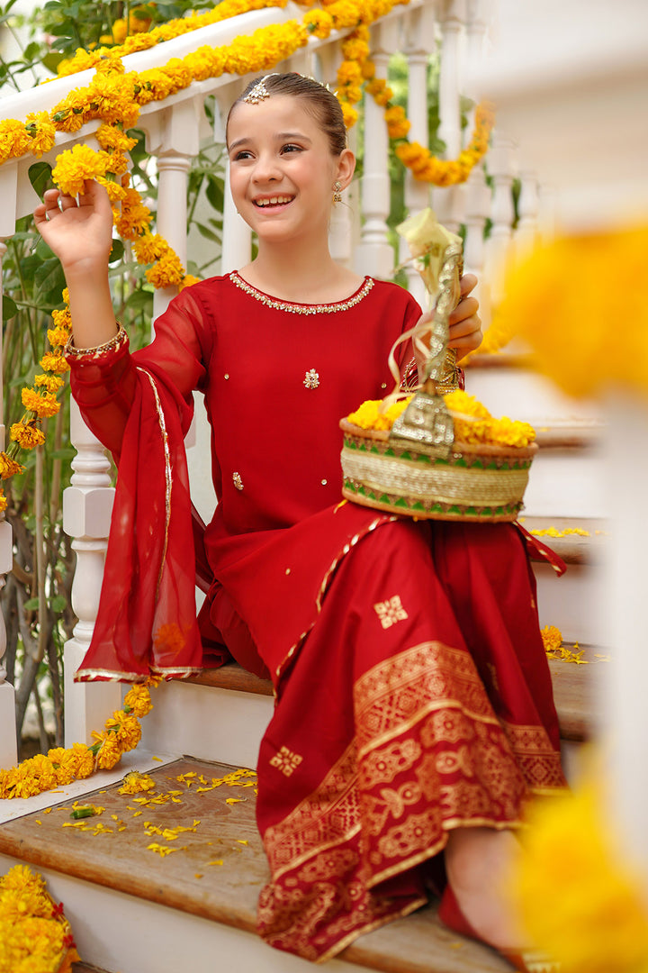 Chiffon Hand Adda Work 3 Pc Suit - Wear Ochre