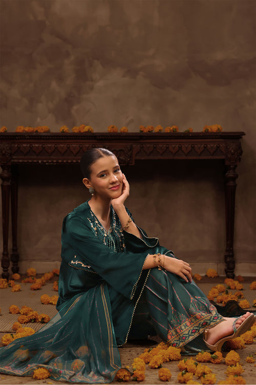 Velvet Hand Adda Work 3 Pc Suit