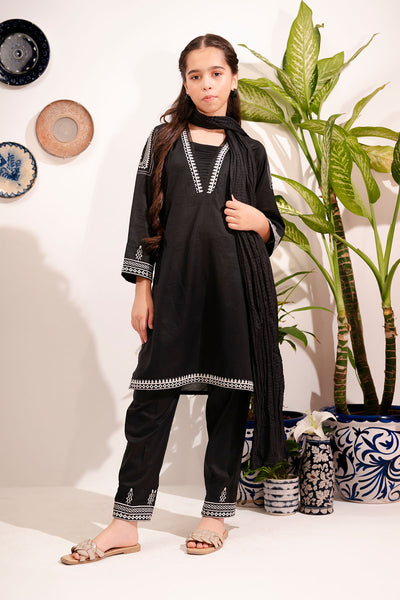 Cotton Embroidered 3 Pc Suit