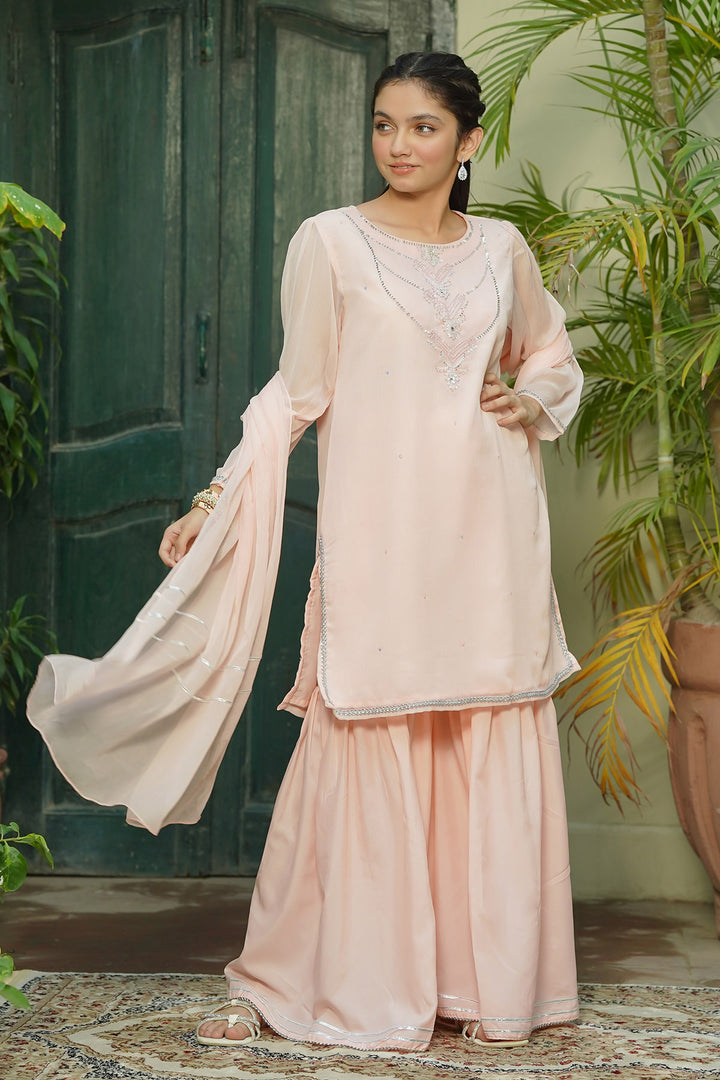 Chiffon Hand Adda Work 3 Pc Suit - Wear Ochre