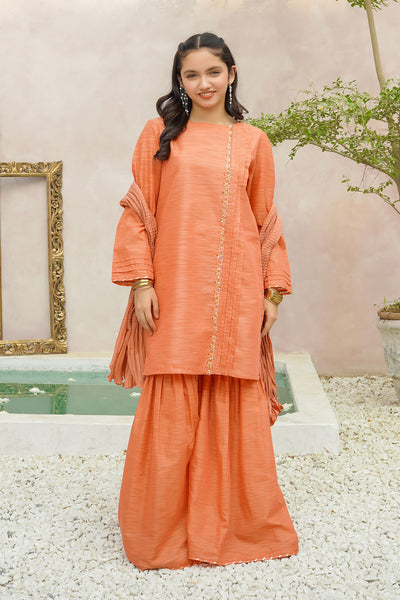 Multi Yarn Cotton Hand Adda Work 3 Pc Suit