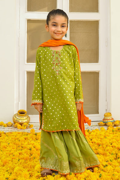 Printed Jacquard Hand Adda Work 3 Pc Suit