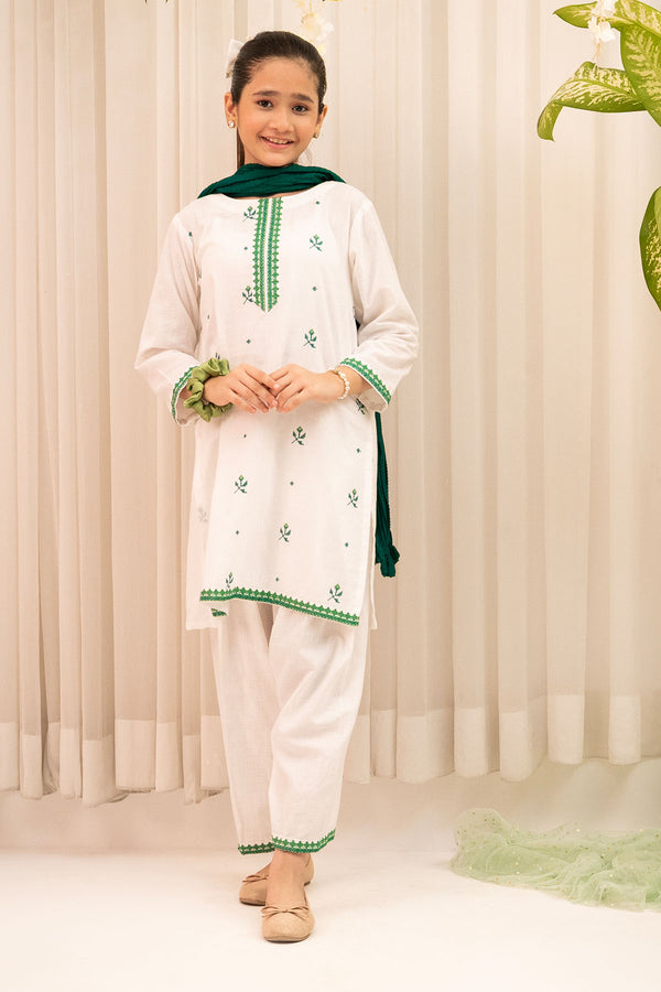 Chambray Cotton Embroidered 3 Pc Suit